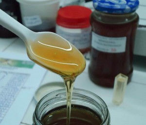 53-EXPOMACIA1