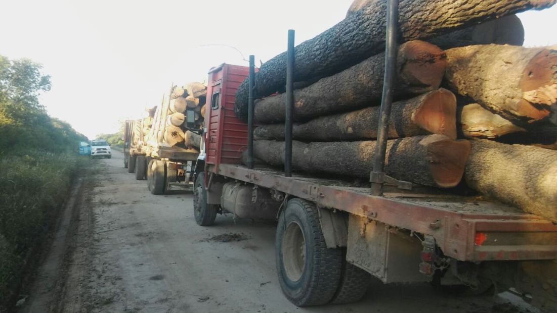 53-CAMIONES DE MADERA