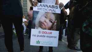 LEY CANNABIS