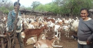 53-CORRAL DE CABRAS POMEPYA