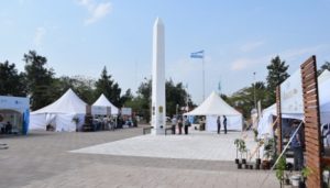 53-EXPOAPICOLA