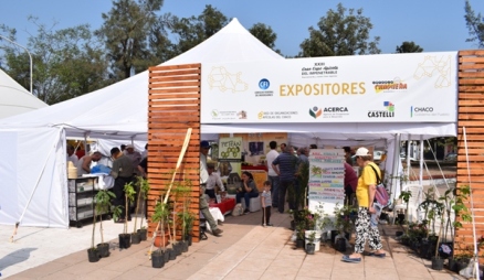 Ezpo Apícola 2017 en la Plaza Central de Castelli