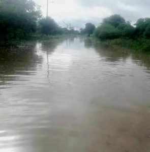 53-LLUVIA PARAJE SAN MANUEL1