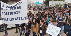 53-MARCHA DOCENTE IES