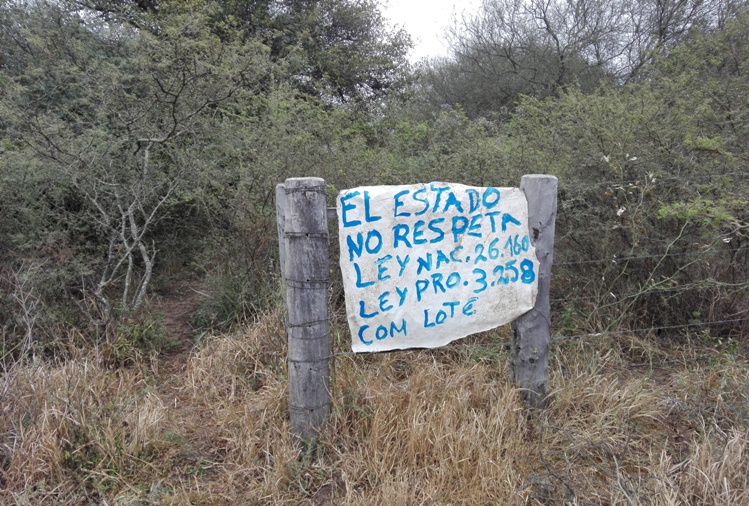 53-TOMA CAMPOS MIRAFLORES