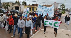 53-MARCHA PUEBLOS ORIGINARIOS