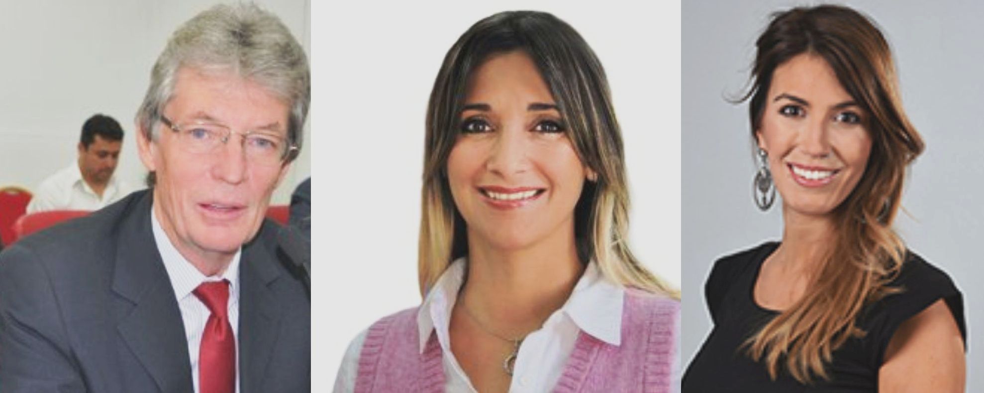 diputados