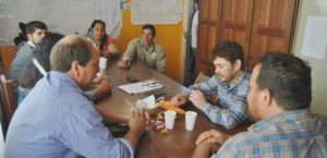 53-AMARILLA CONCEJO