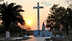 DSC_1330 (1)