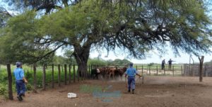 53-SECUESTRO POLICIA RURAL12