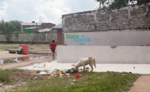 53-BASURA (1)