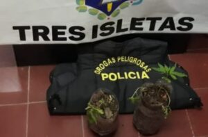 PLANTINES DROGAS