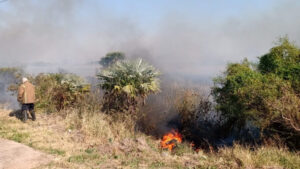 incendios_fuego22 (1)