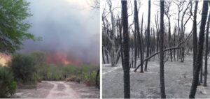 incendios
