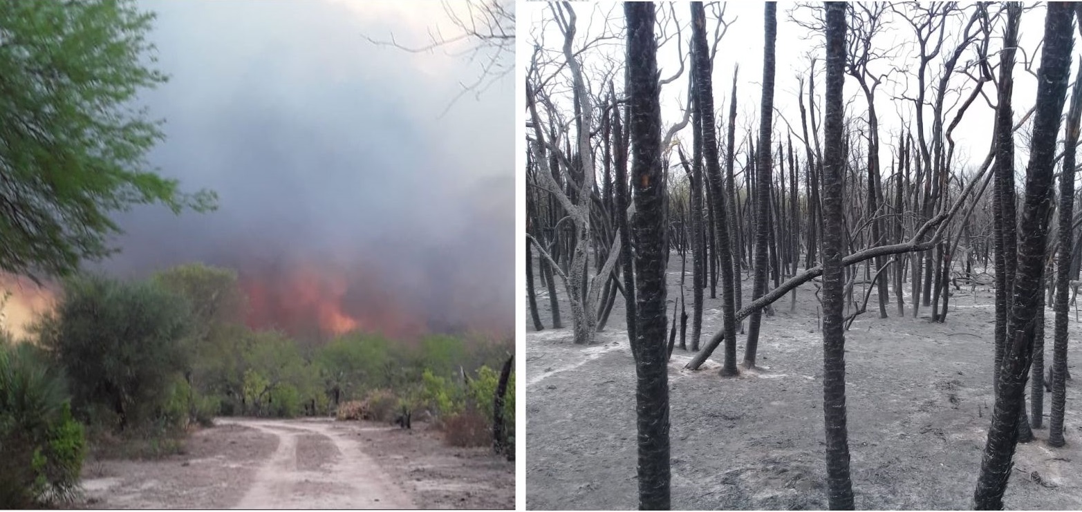 incendios