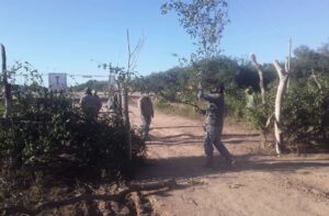 CORTES SAUZALITO1
