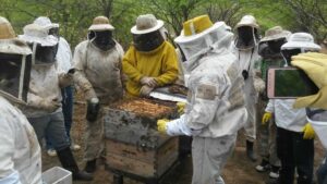 agricvultura