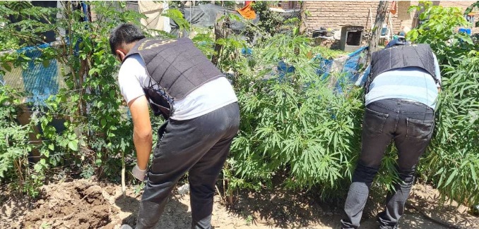 OP DROGA LA PAZ