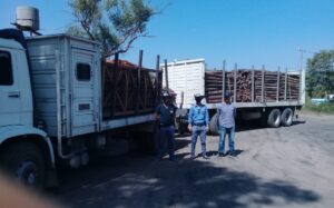 CAMION POSTES