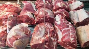 EXPORTACION DE CARNES