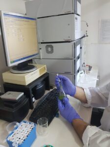 thumbnail_IMG-20220613-WA0009