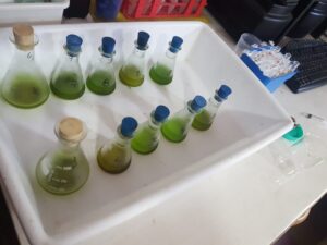 thumbnail_IMG-20220613-WA0010