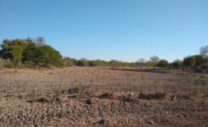 2929eab7-39ce-44fe-a981-d47a12393053