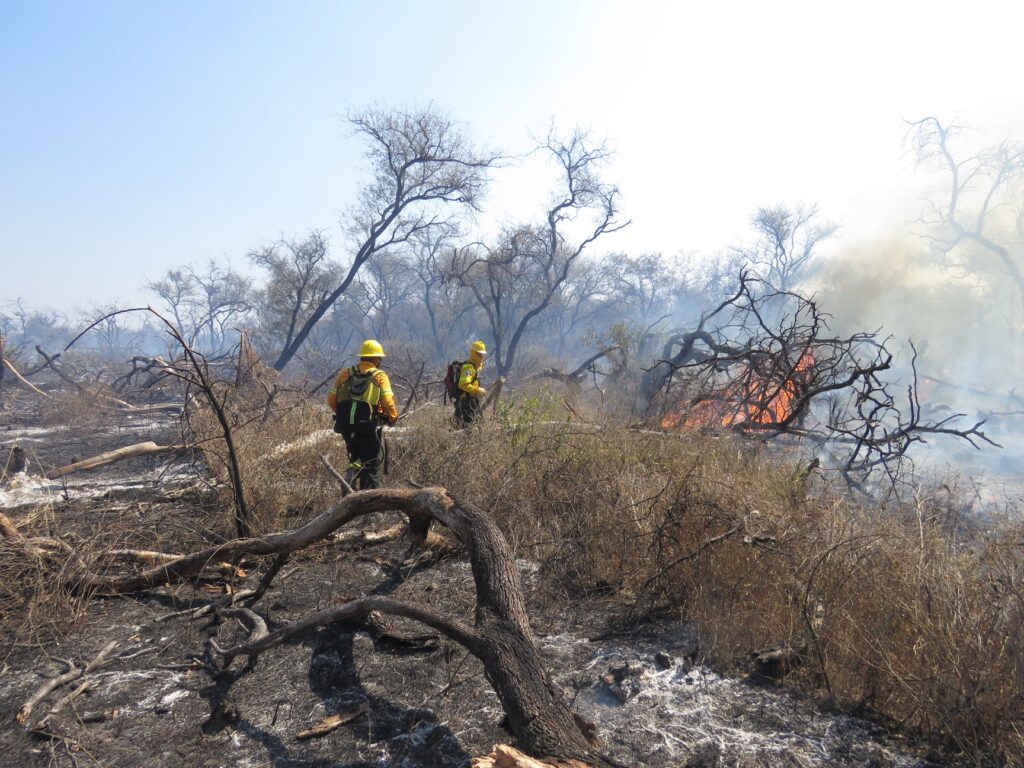 INCENDIO PARQUE