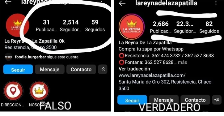 PUBLICACIONES FALSAS