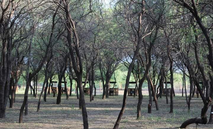 PATIO LOPEZ CAMPING