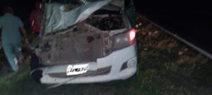 ANIMALES AUTO