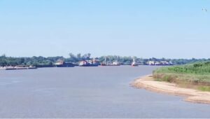 bajan parana