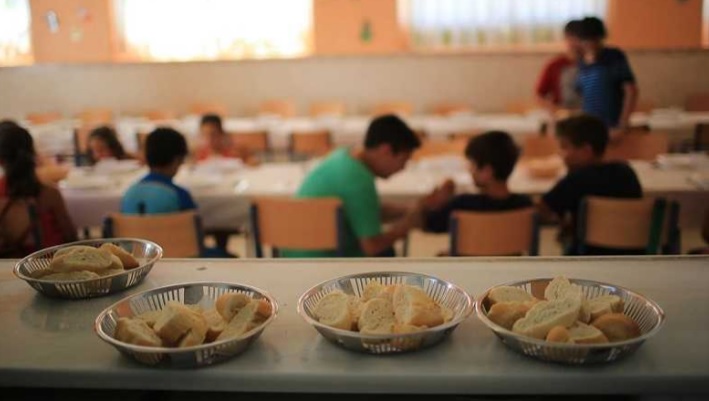 nutricion escolares