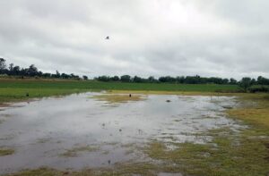 Lluvia-Campo