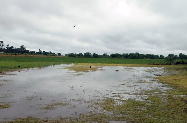 Lluvia-Campo
