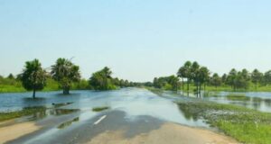 CRECIDA PARANA