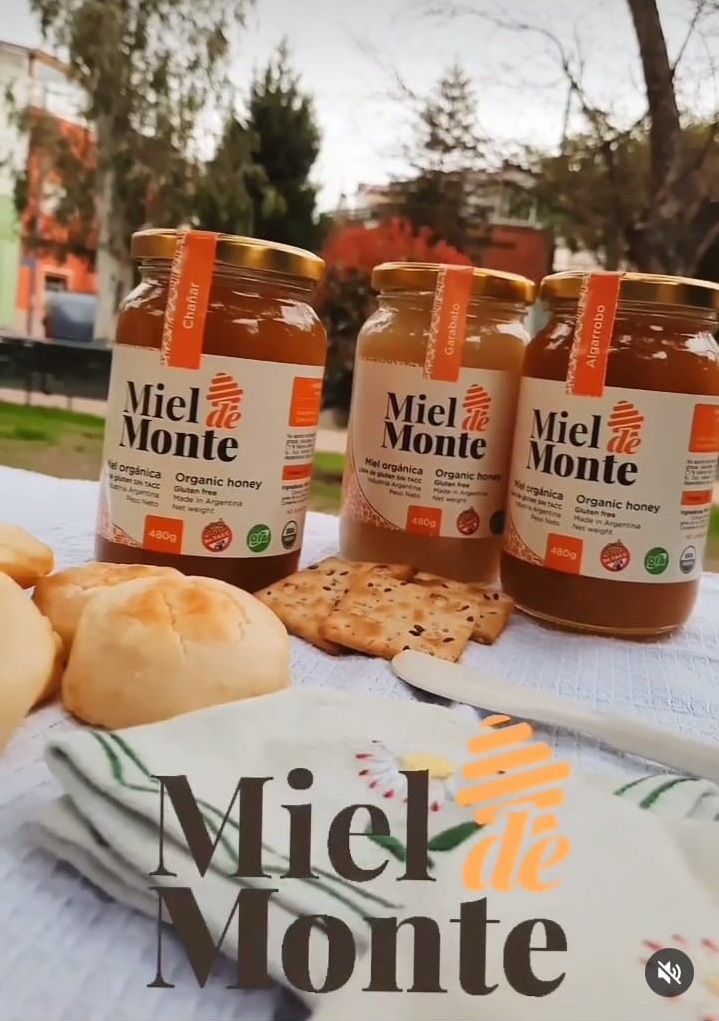 MIEL DE MONTE