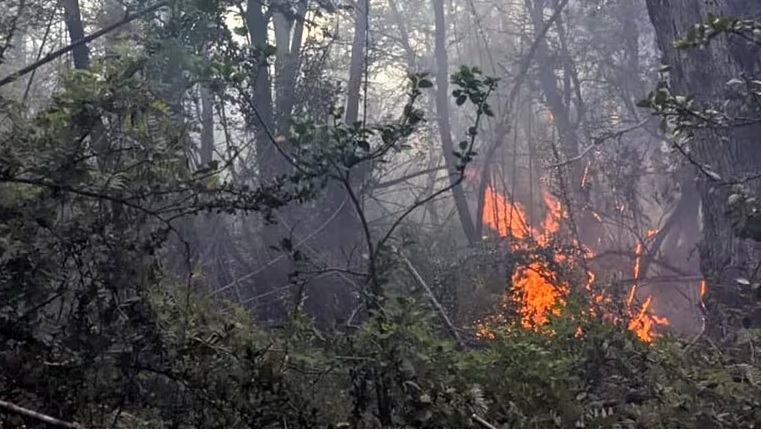 incendio parque