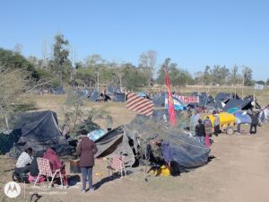 IMG_20240812_100538885 (1)