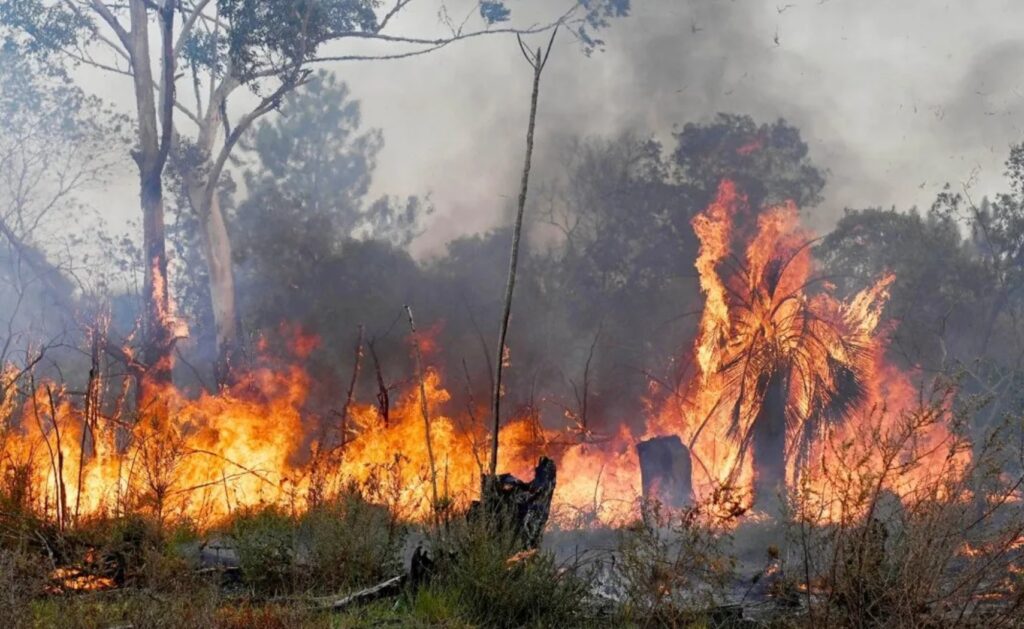 incendios