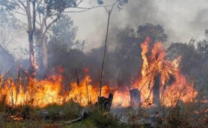 incendios