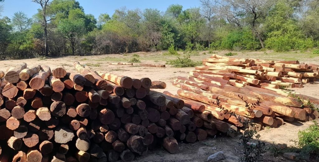 postes quebracho