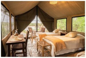 GLAMPING