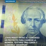 «Argentum», la nueva momenda que podría reemplazar al peso argentino