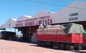 INFORME ALGODONERO