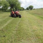 Manteniendo y mejorando los espacios verdes