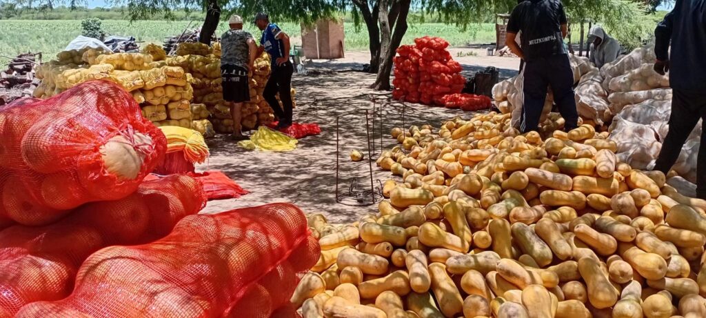 586634288_1431642862295553_1987442733637997434_n