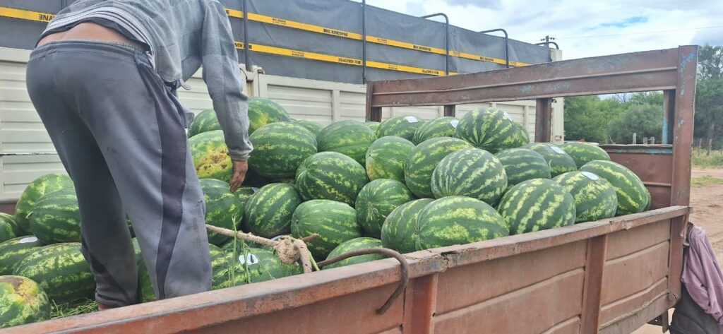 65e152e8-a0e4-43ab-991d-662f8ddbc402