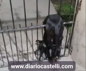 607444644_1457668596359646_3609073277243634950_n