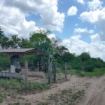 La virgen del Yuchán, protectora del monte impenetrable